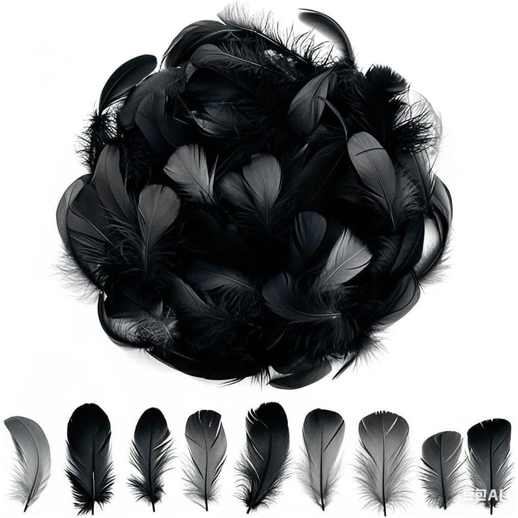 Colorful Feathers Set