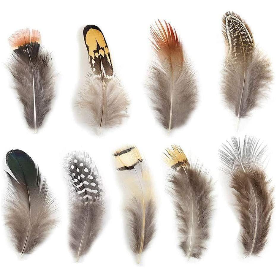 Natural Assorted Feathers