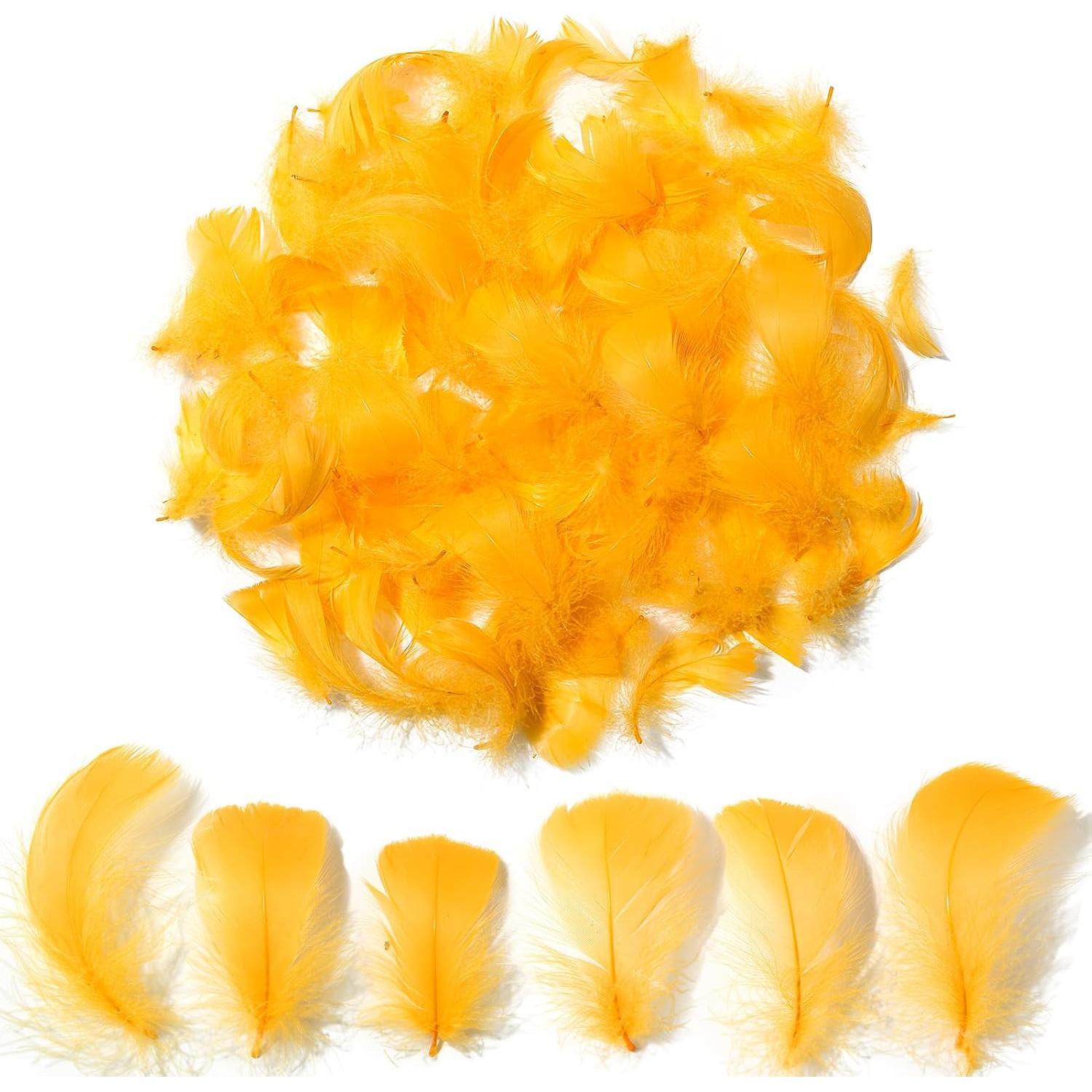 Colorful Feathers Set