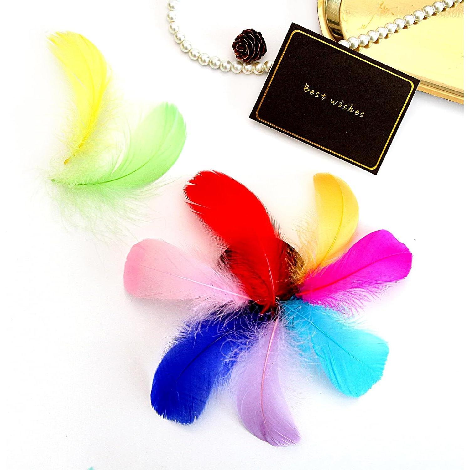 Colorful Feathers Set