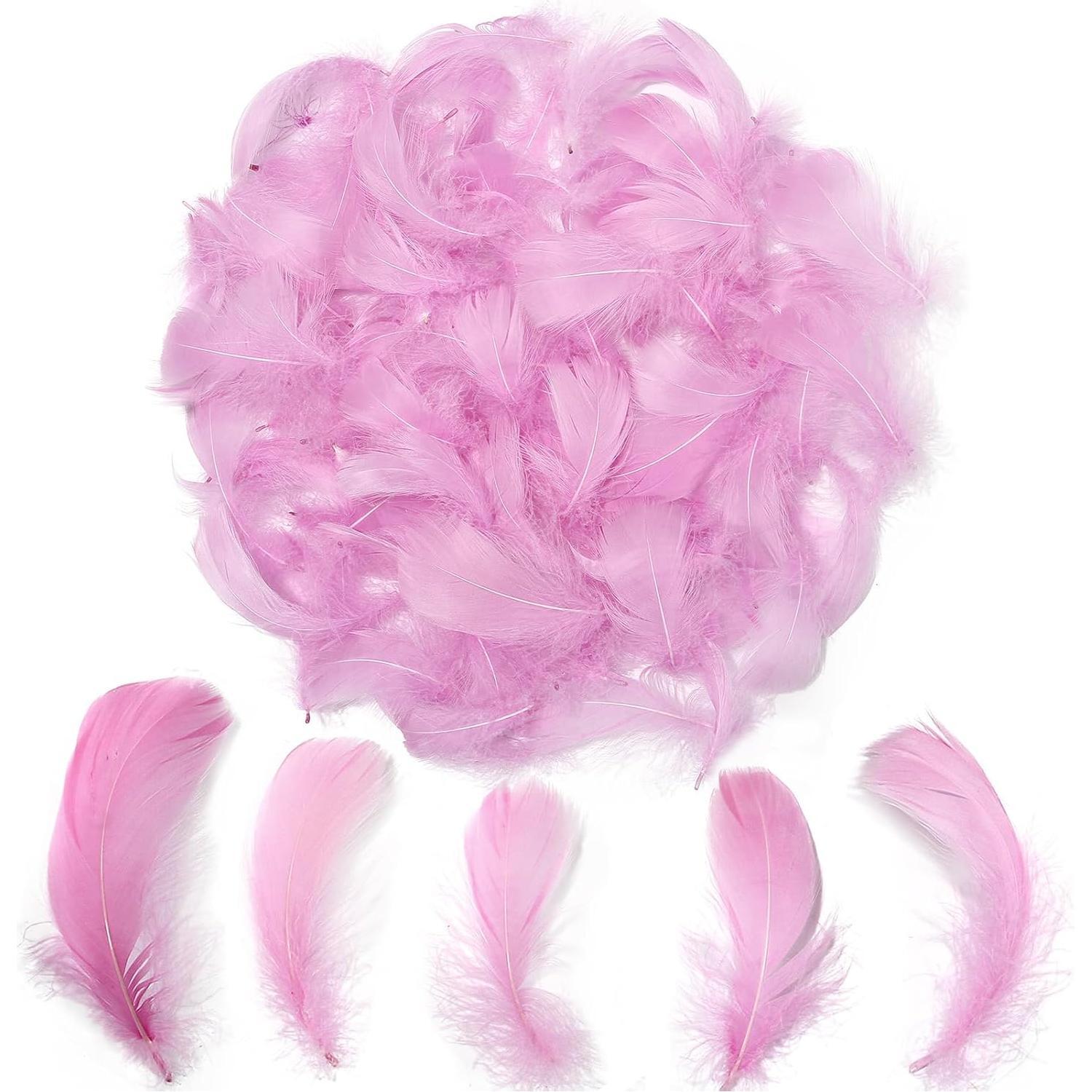 Colorful Feathers Set