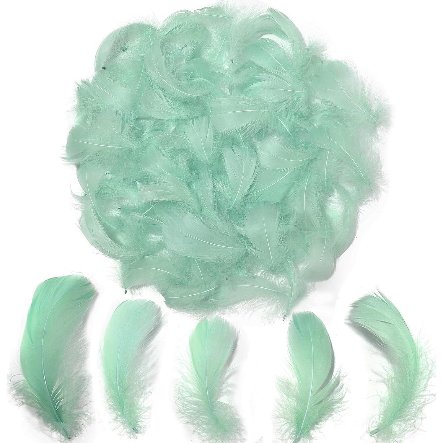 Colorful Feathers Set