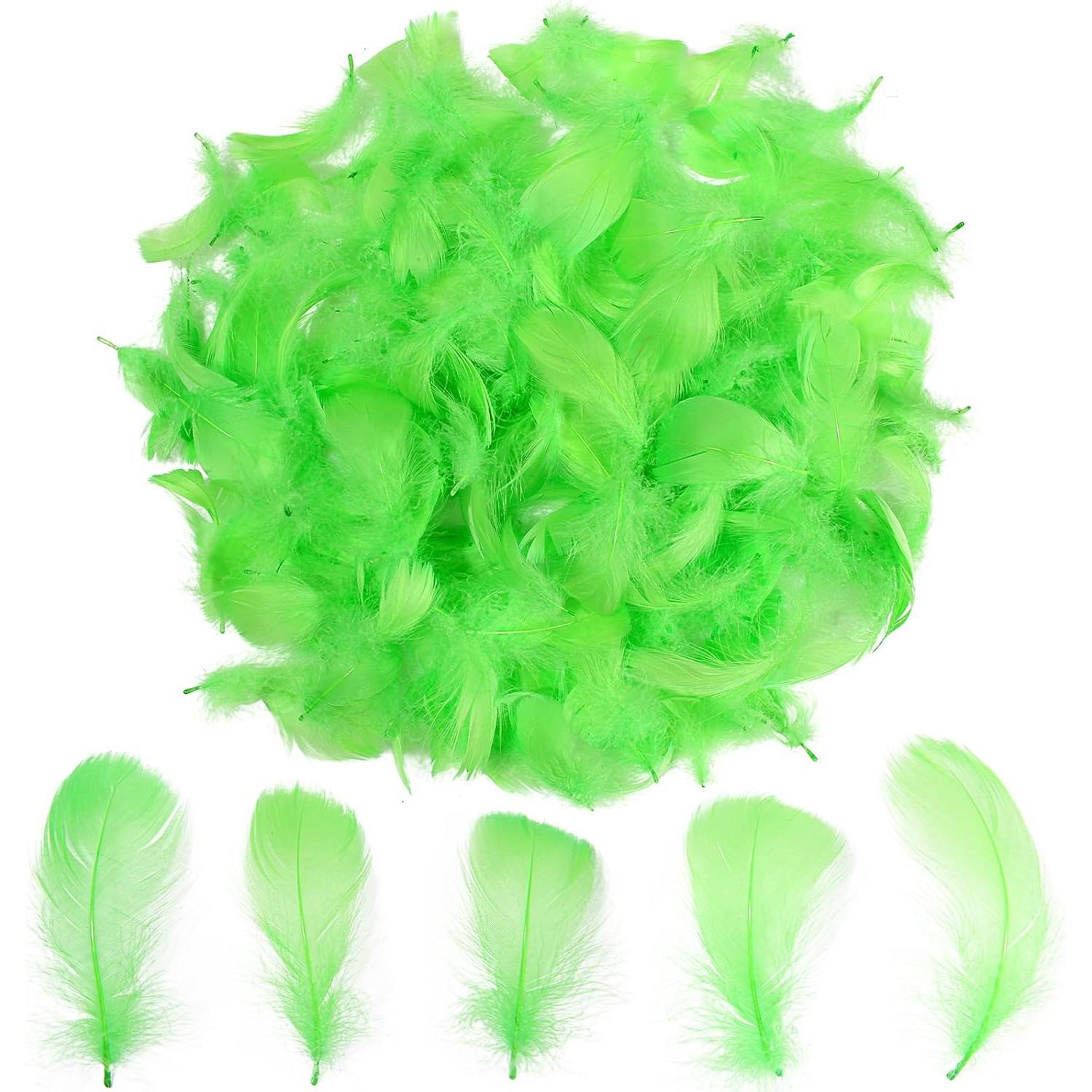 Colorful Feathers Set