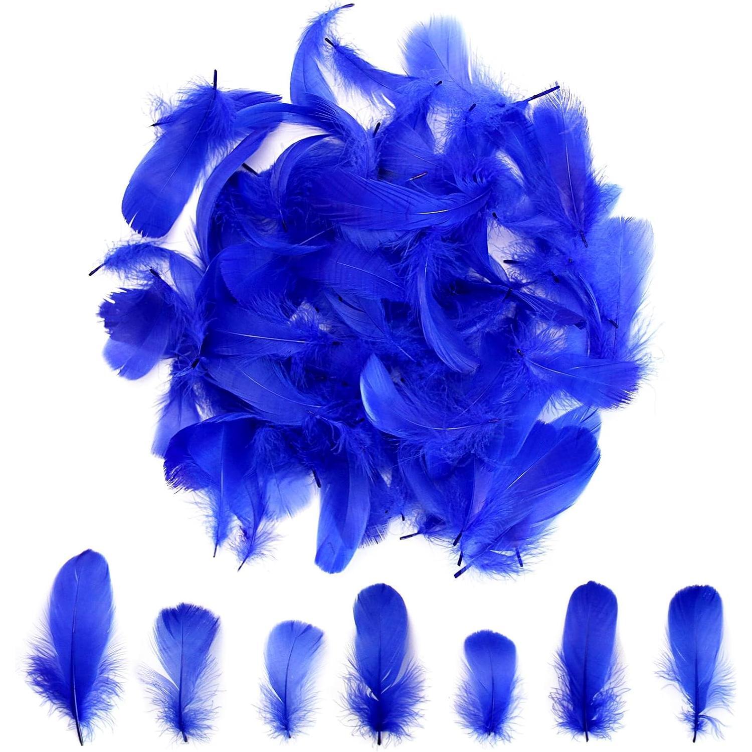 Colorful Feathers Set