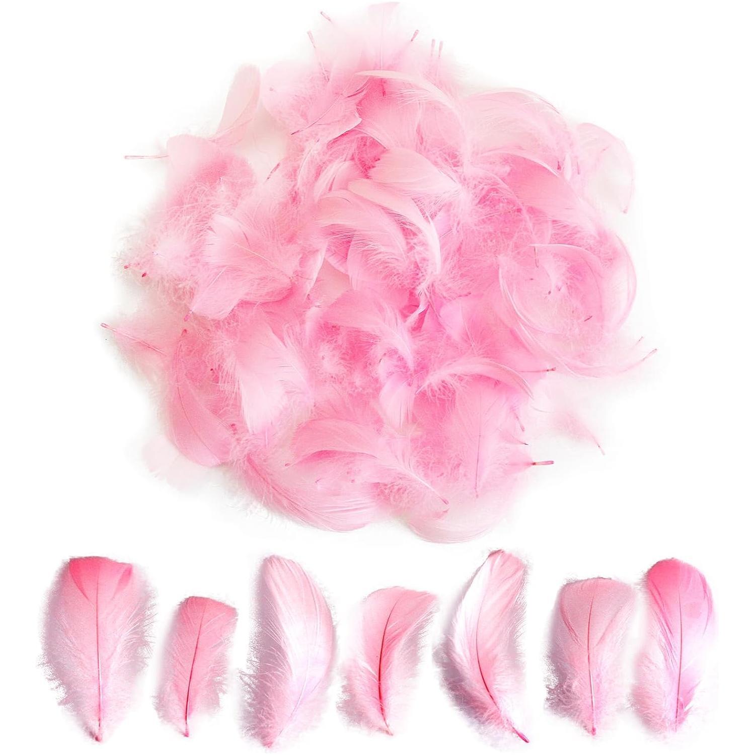 Colorful Feathers Set