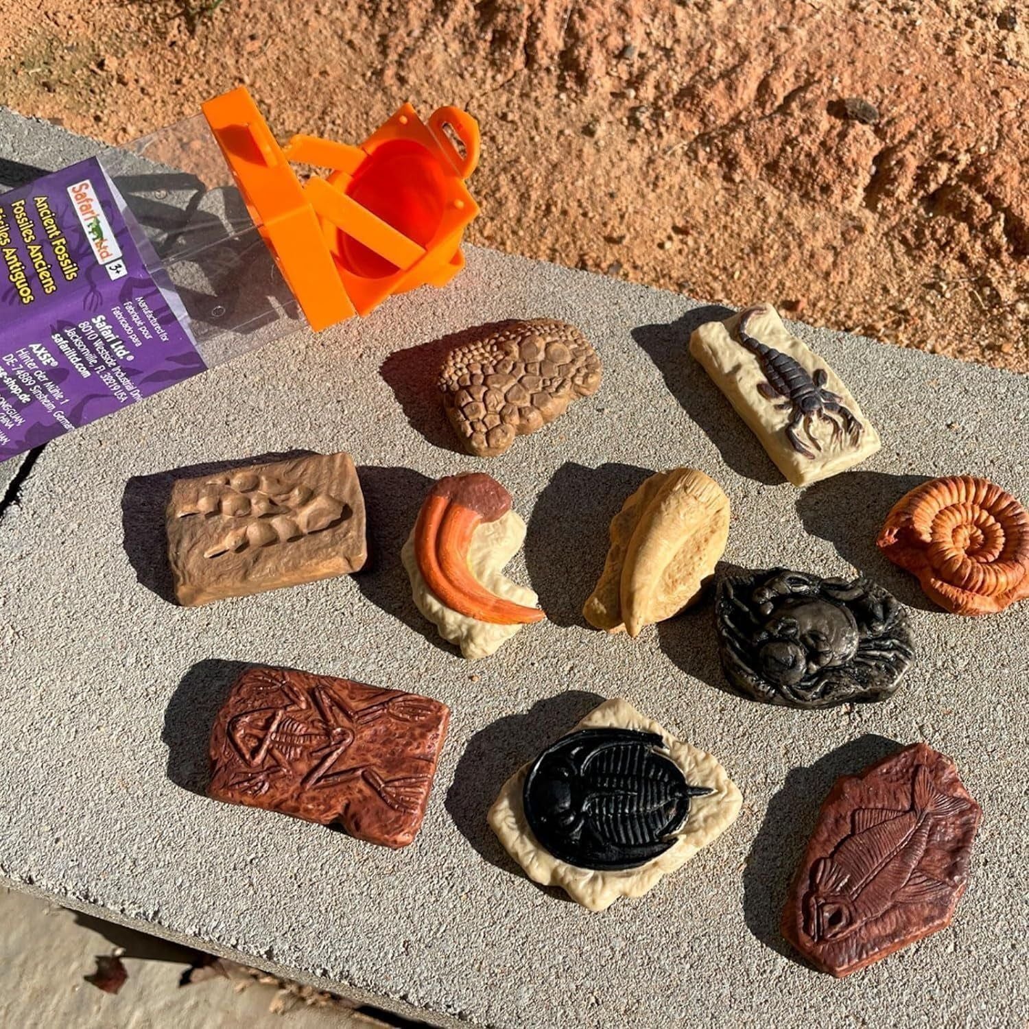 Ancient Fossils Miniatures