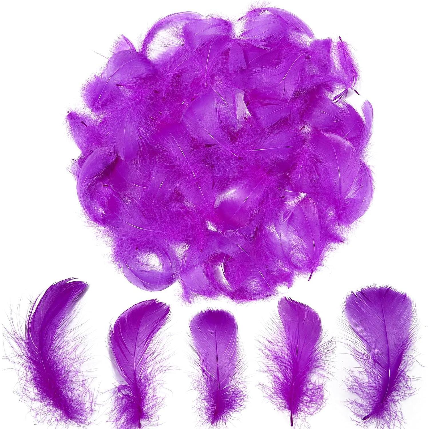 Colorful Feathers Set