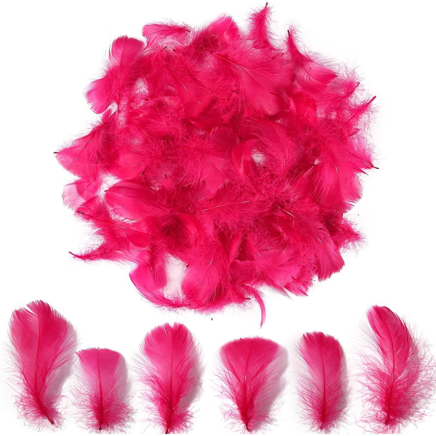 Colorful Feathers Set