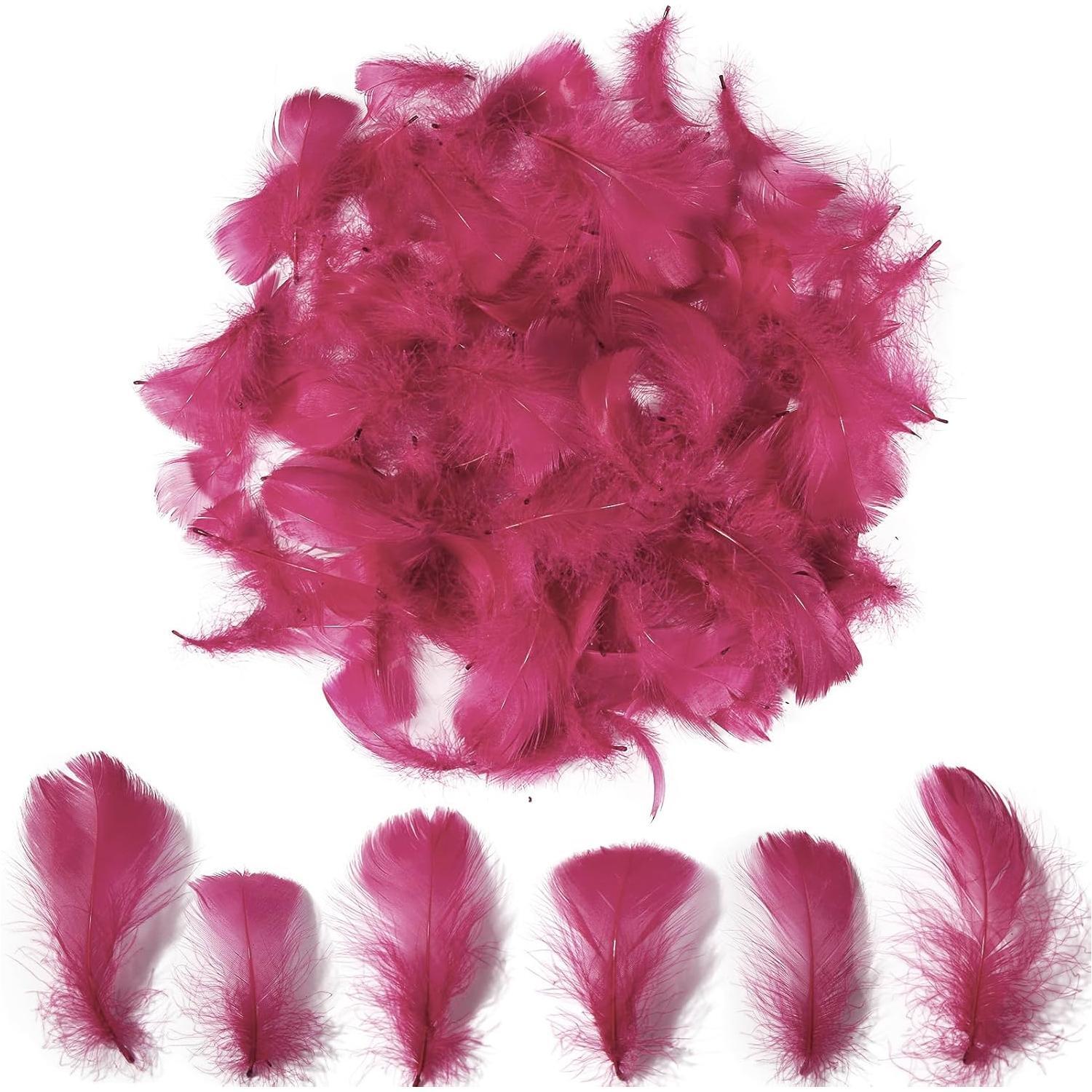 Colorful Feathers Set