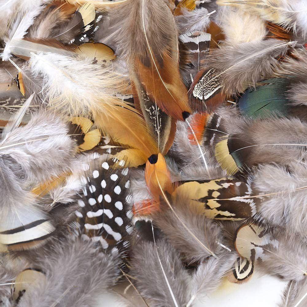 Natural Assorted Feathers