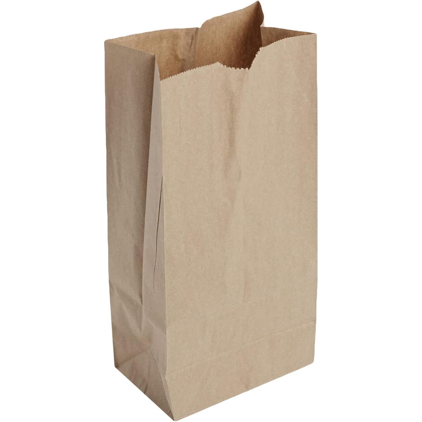 Brown Paper Bag Pack