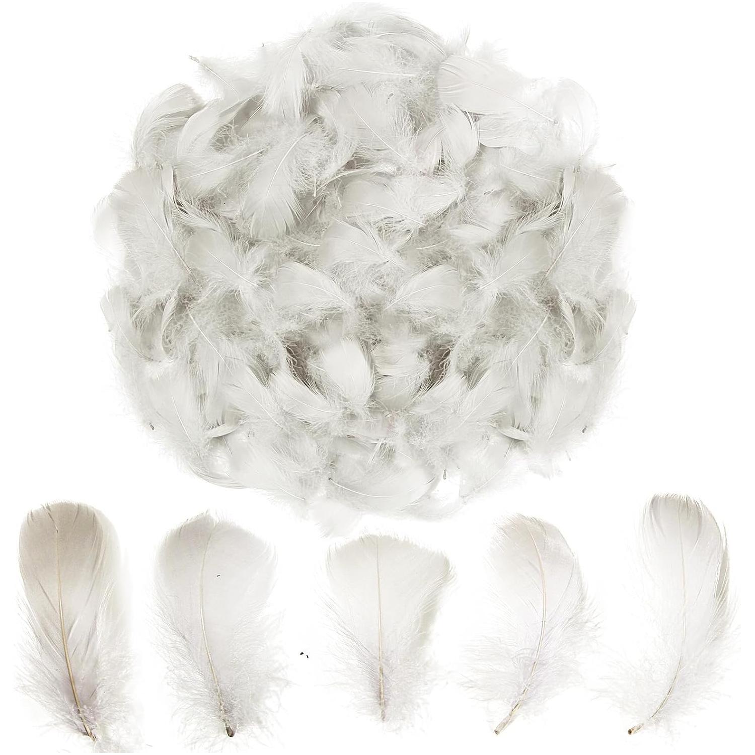 Colorful Feathers Set