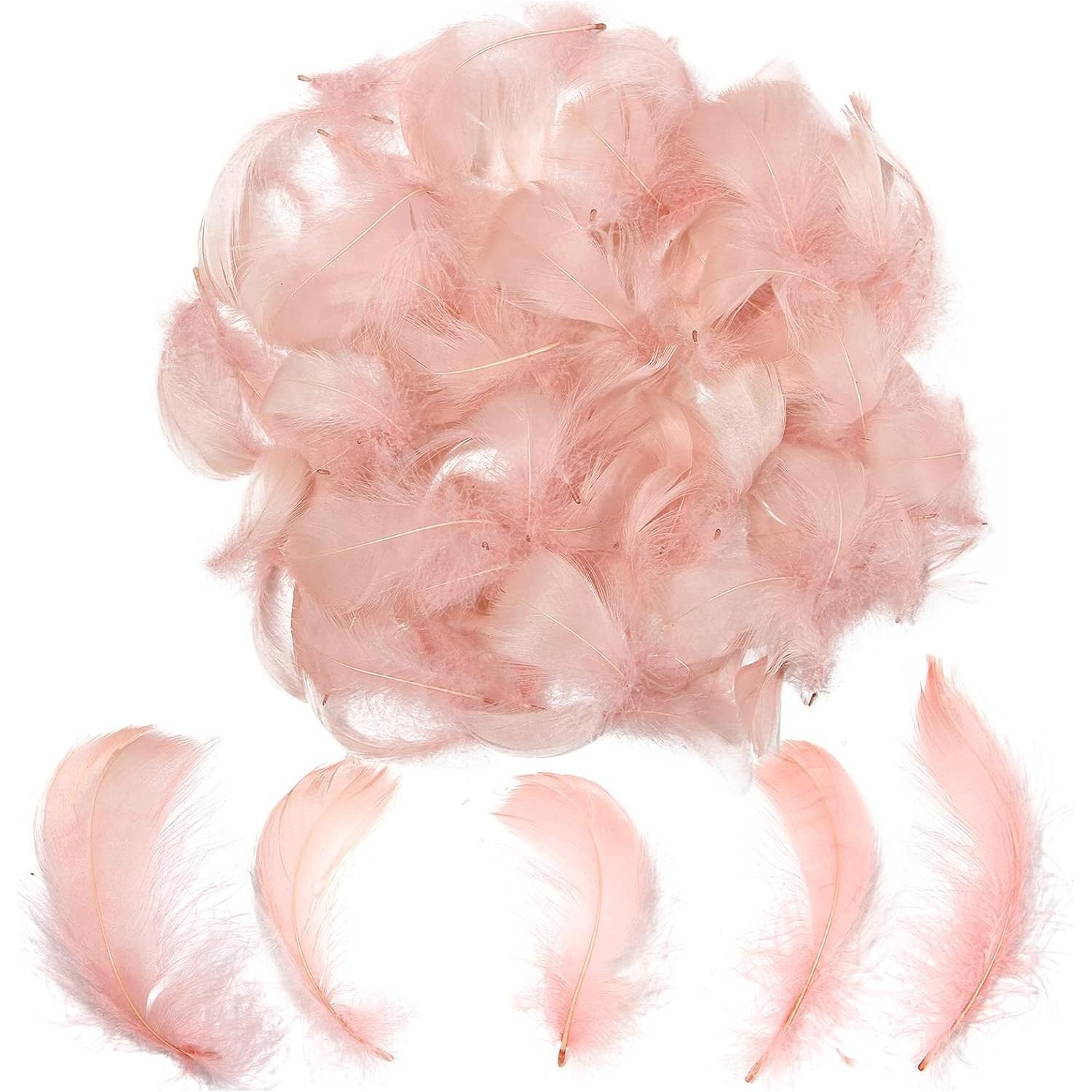 Colorful Feathers Set