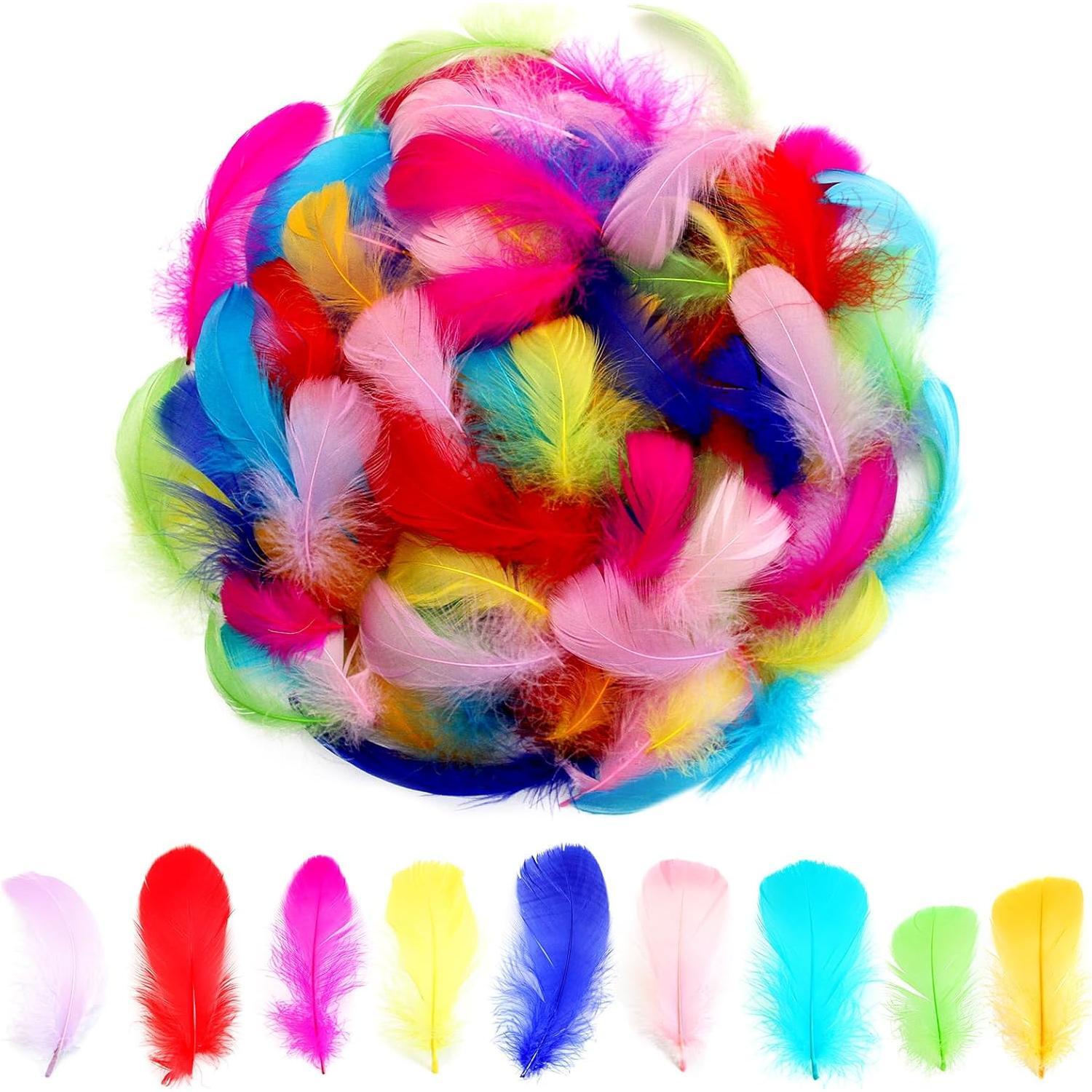 Colorful Feathers Set