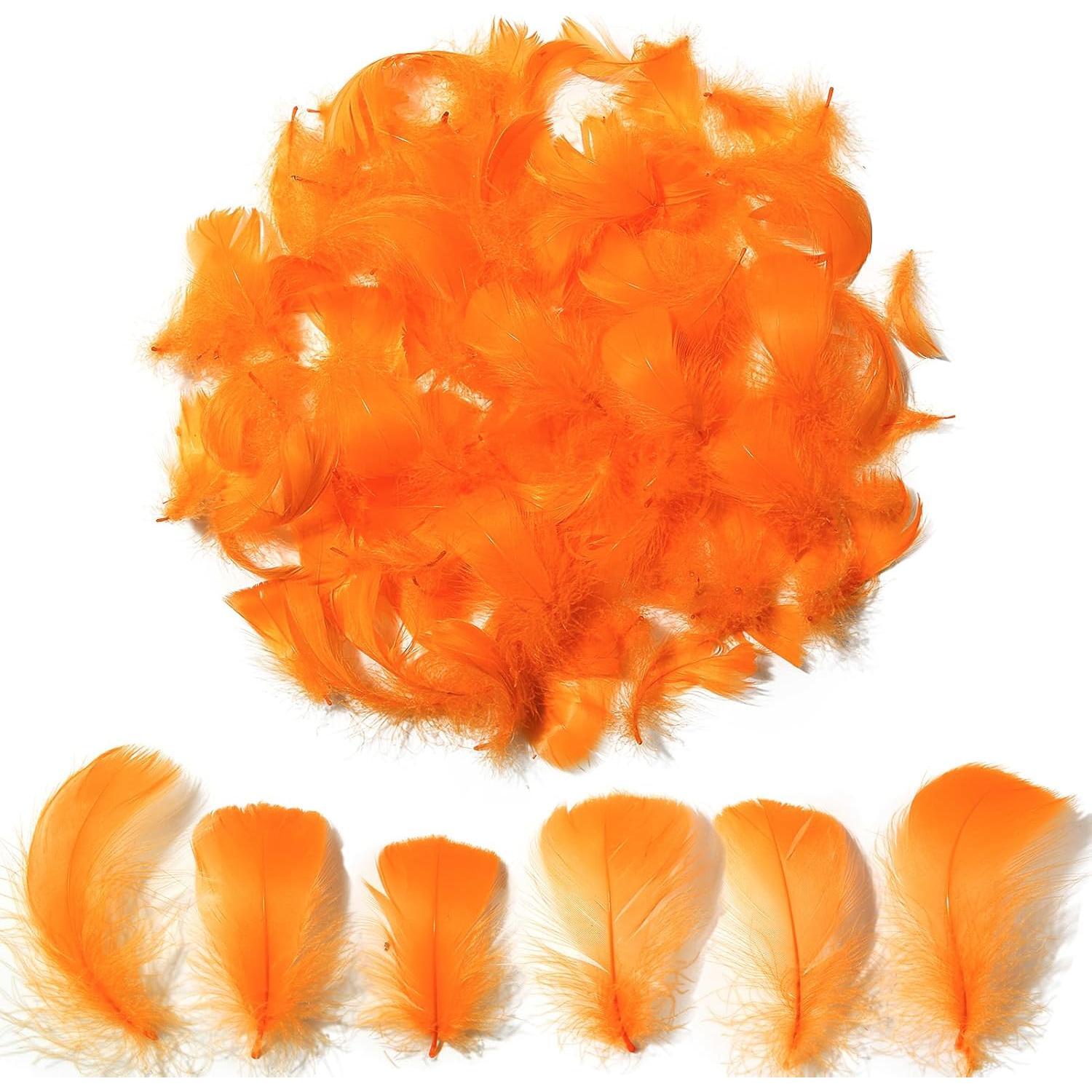 Colorful Feathers Set