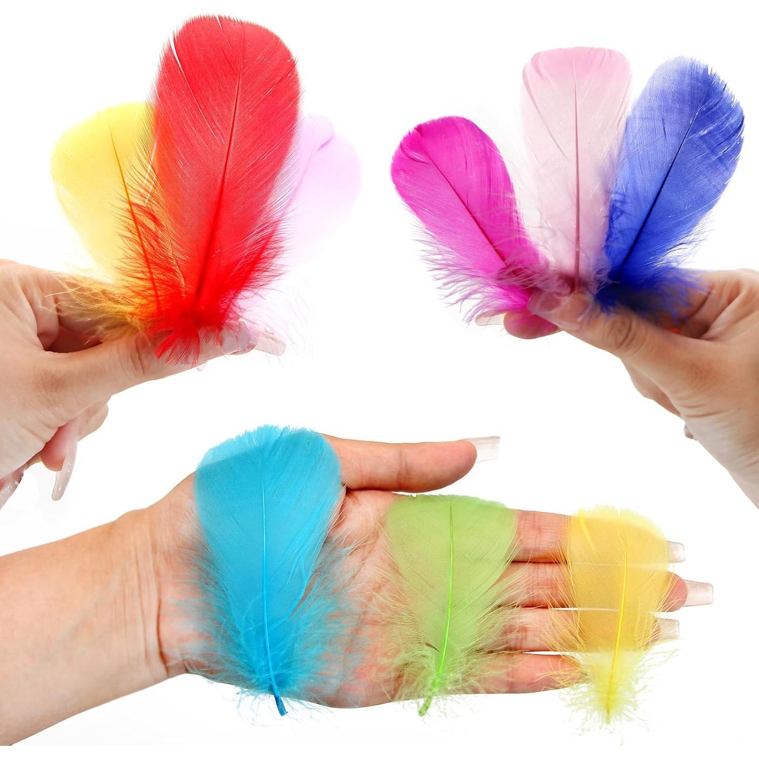 Colorful Feathers Set