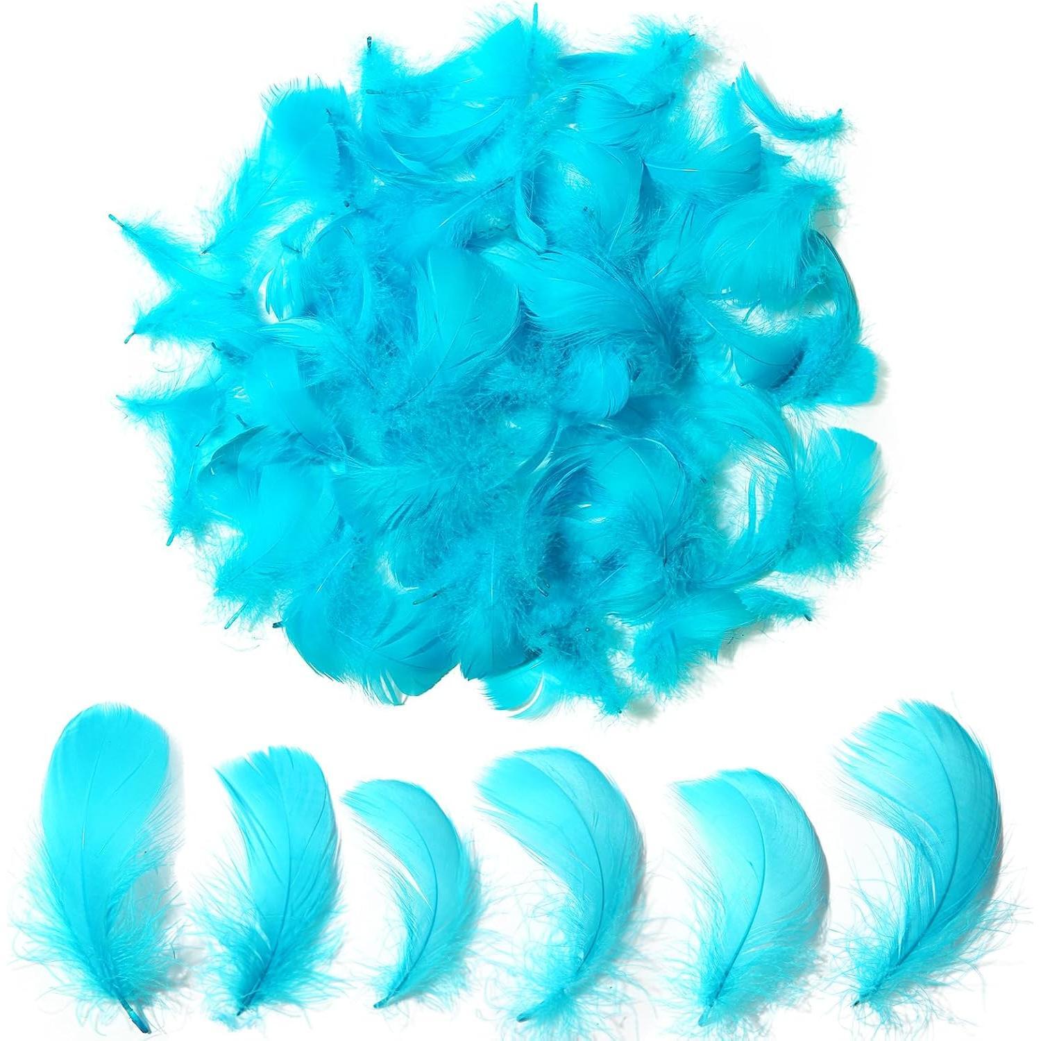 Colorful Feathers Set