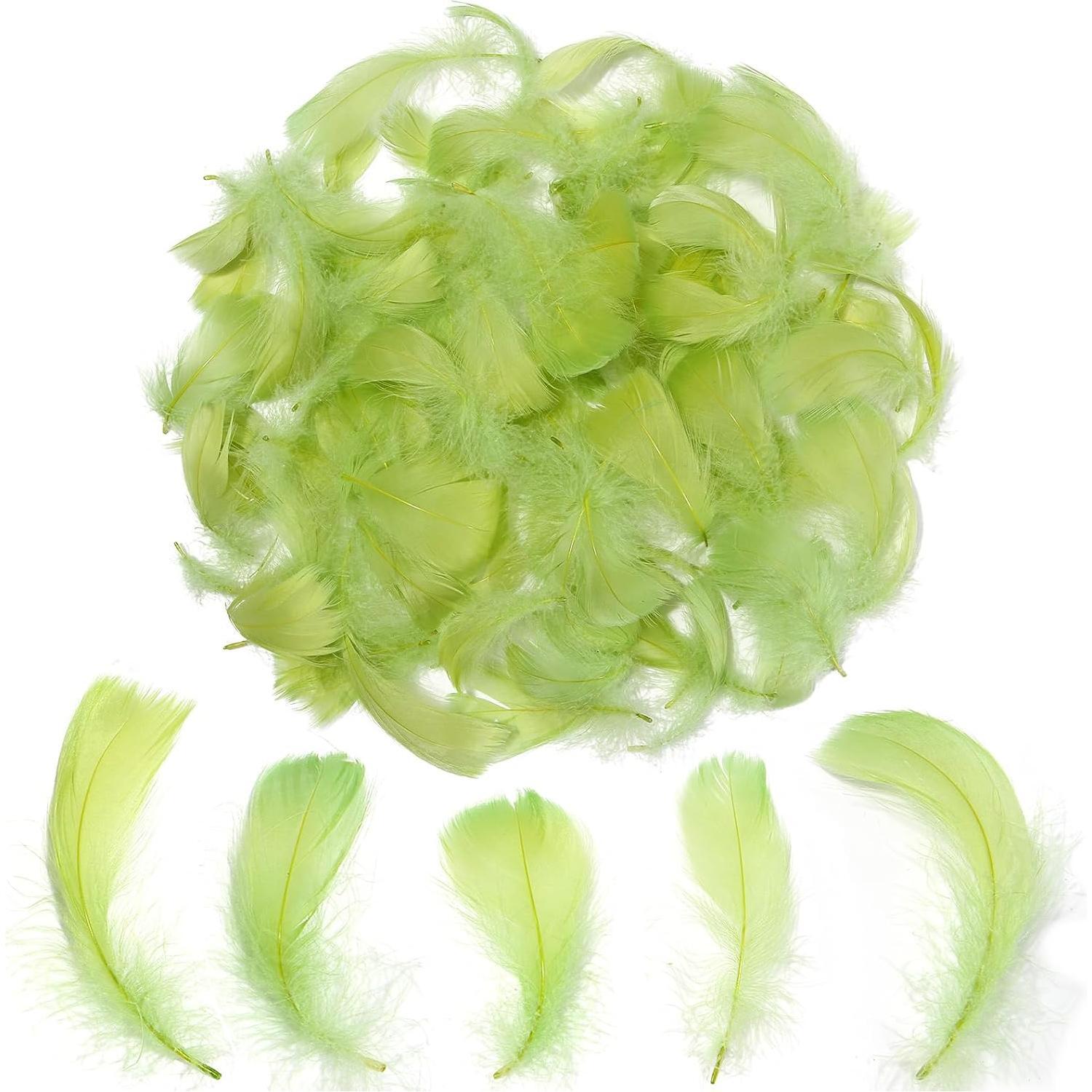 Colorful Feathers Set