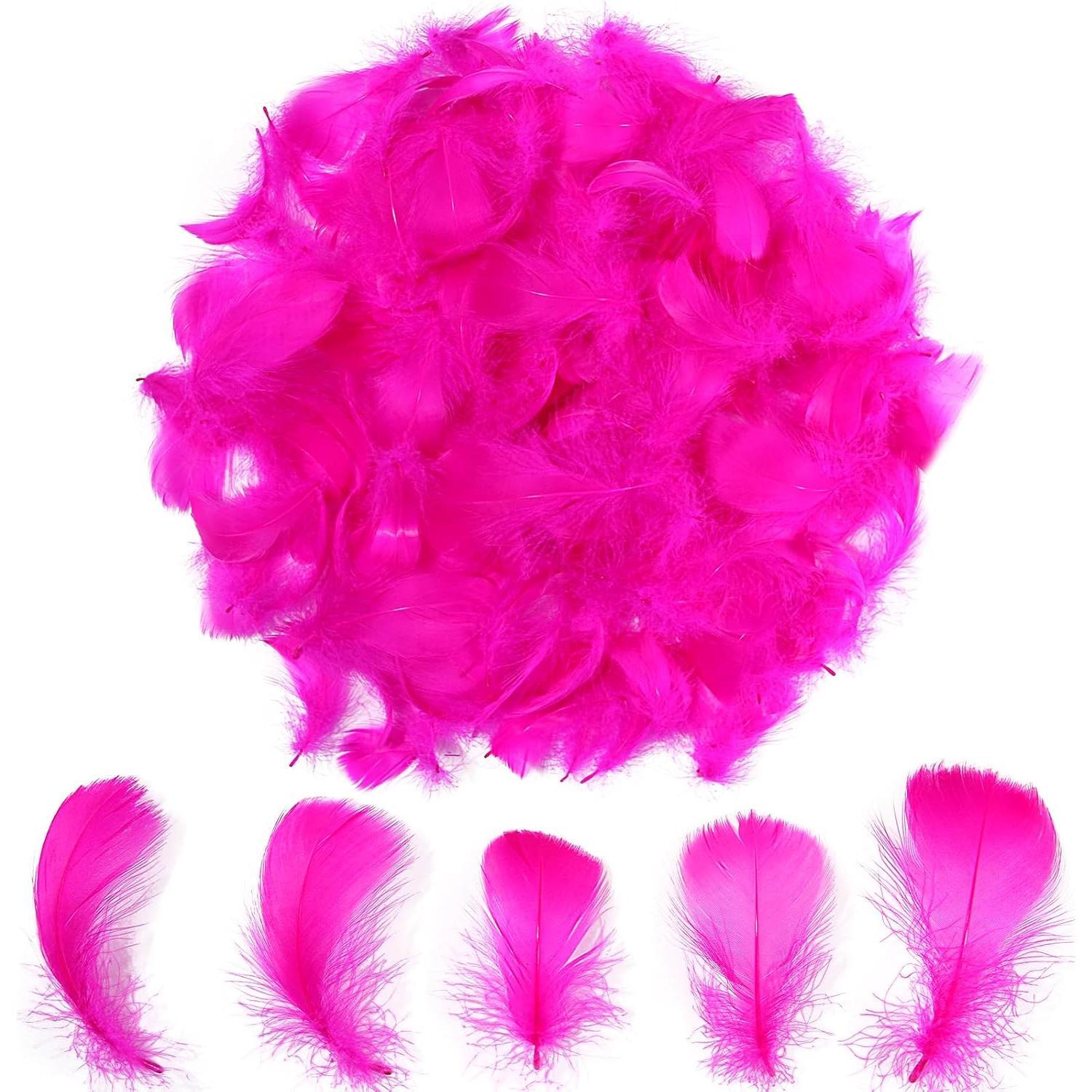 Colorful Feathers Set