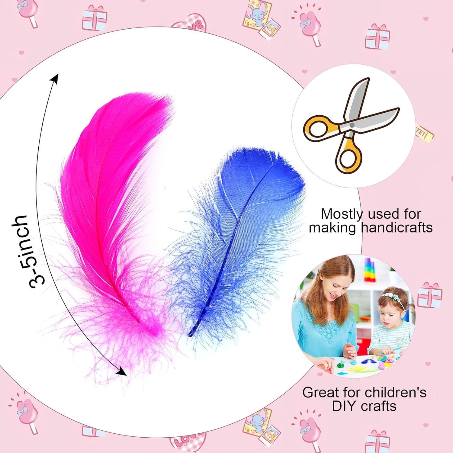 Colorful Feathers Set
