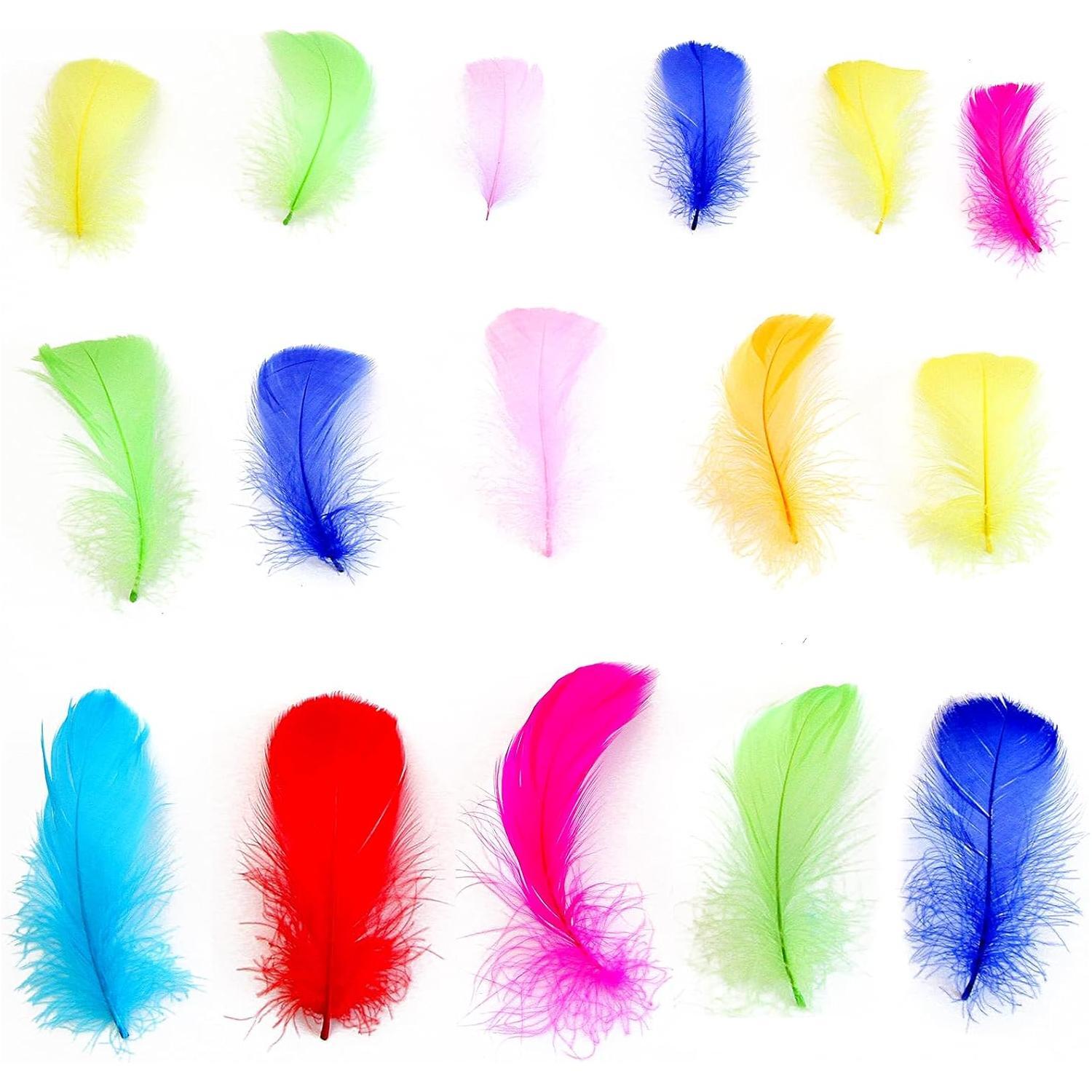 Colorful Feathers Set
