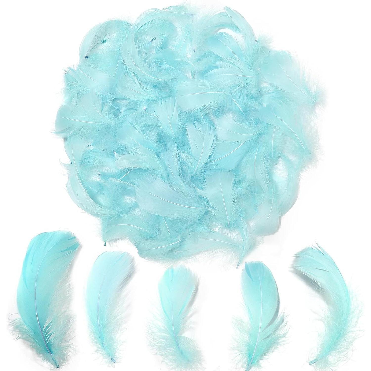 Colorful Feathers Set