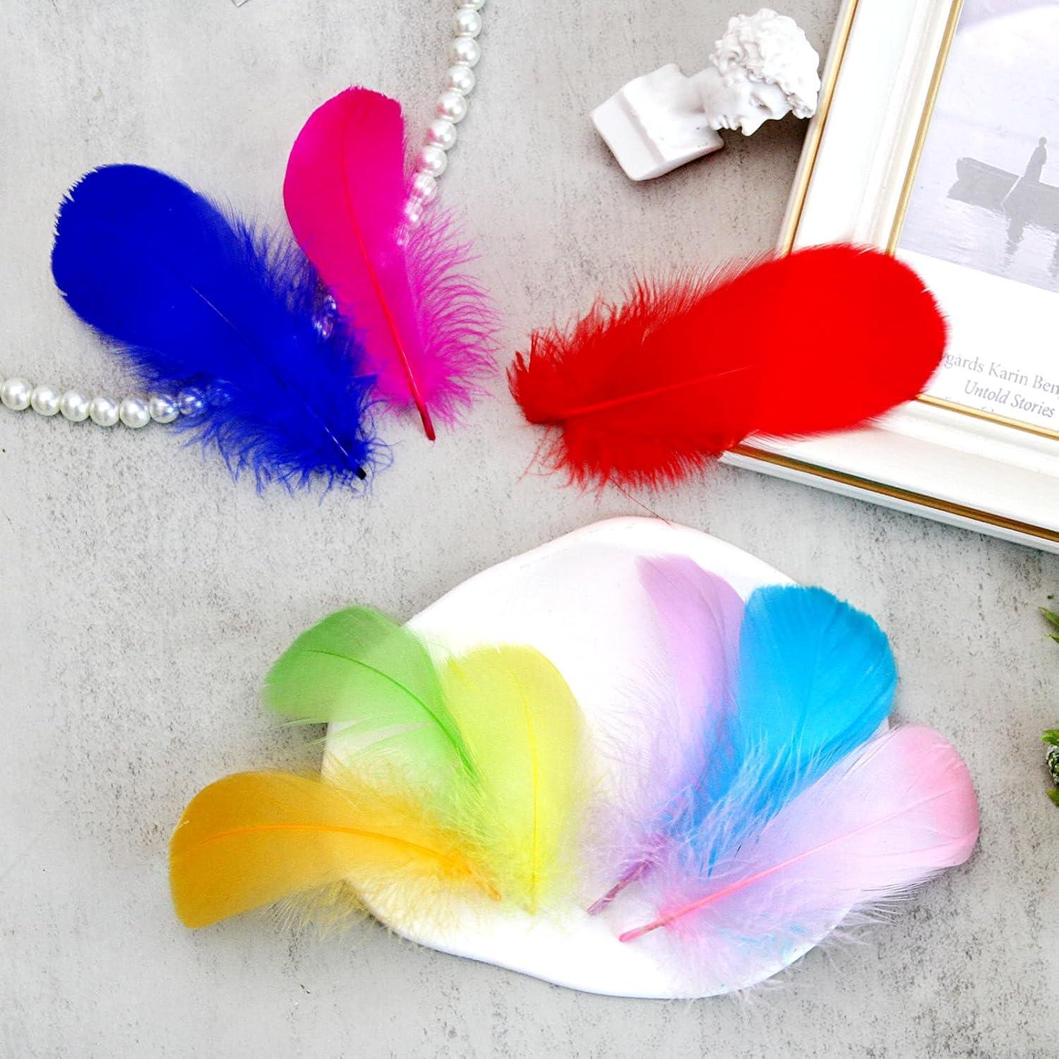 Colorful Feathers Set