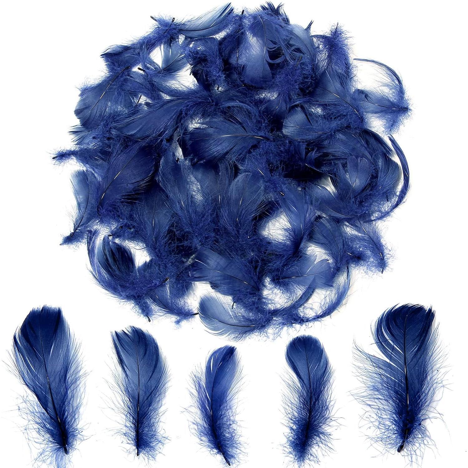 Colorful Feathers Set