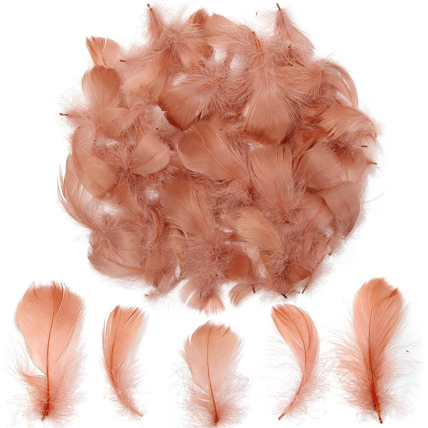 Colorful Feathers Set