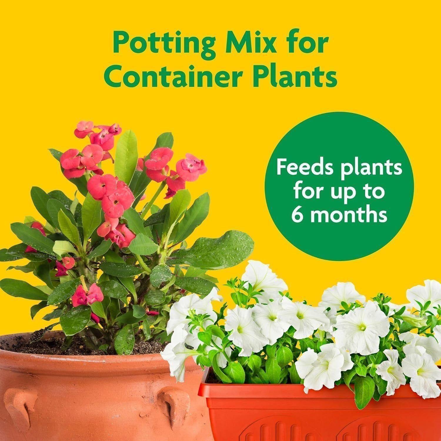 Potting Mix