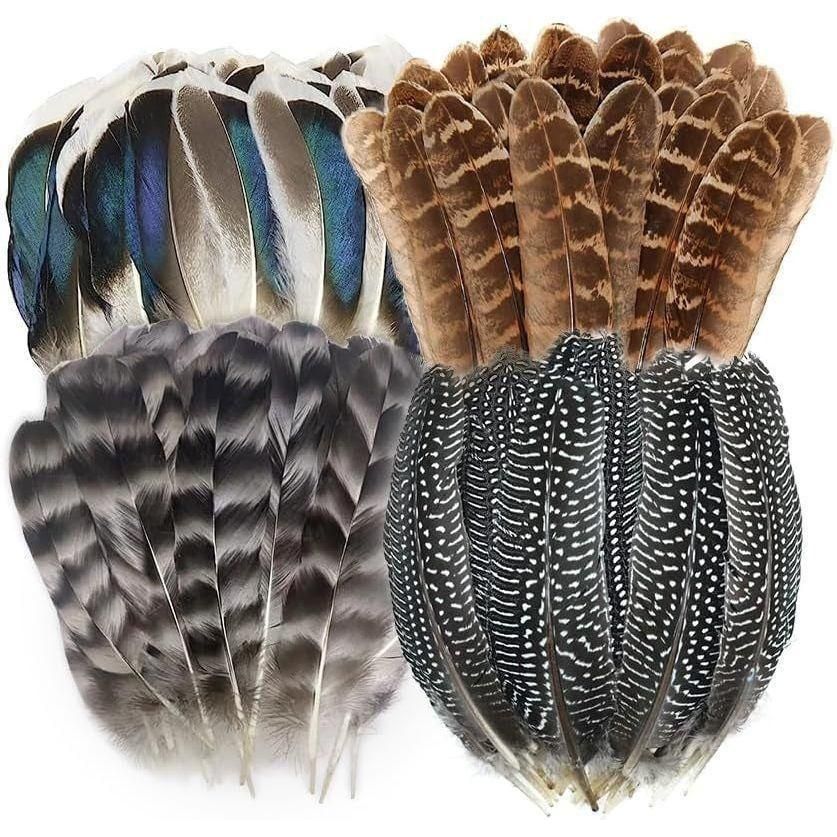 40Pcs Natural Pheasant Feathers, Spotted Feathers, Turkey Feathers, 4 Styles Feathers for Crafts DIY Hat Floral Arrangements Wing Quill Wedding Home Party